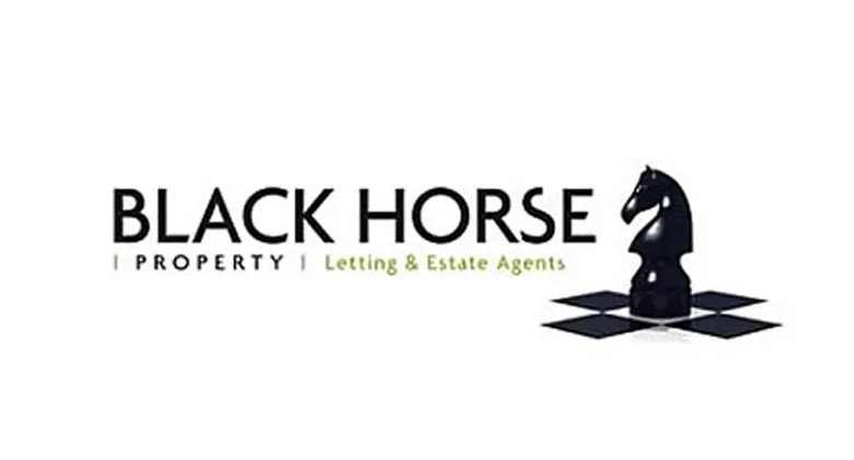 Black Horse Property